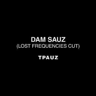 Dam Sauz (Lost Frequencies Cut) by Tpauz