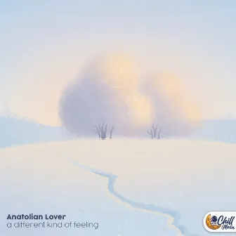 a different kind of feeling by Anatolian Lover