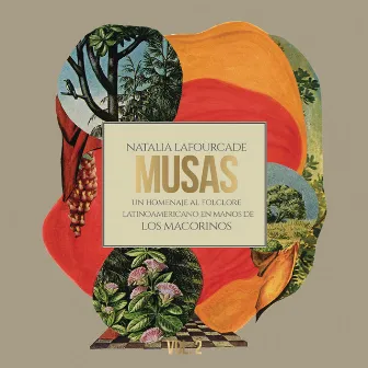 Musas (Un Homenaje al Folclore Latinoamericano en Manos de Los Macorinos), Vol. 2 by Natalia Lafourcade