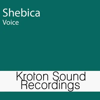 Voice by Shebica