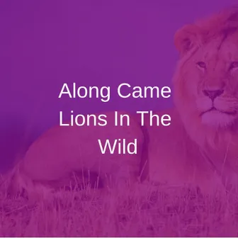 Along came lions in the wild by Teeko