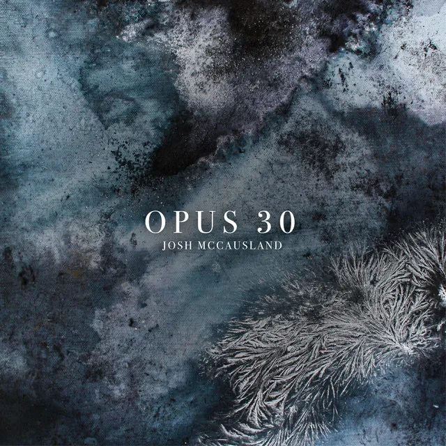 Opus 30