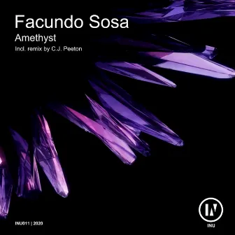 Amethyst by Facundo Sosa