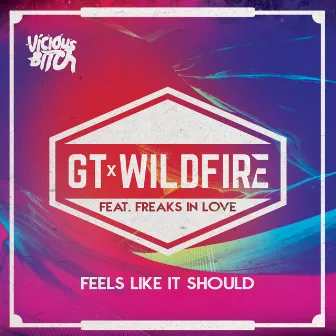 Feels Like It Should by Wildfire