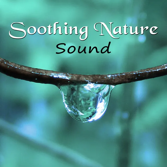 Soothing Nature Sound - Soft Ocean Waves, Pure Nature Sounds, Calm Music for Relaxation, Better Sleep