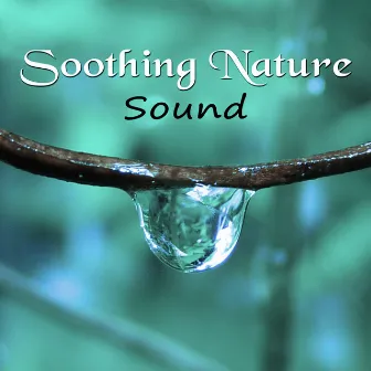 Soothing Nature Sound - Soft Ocean Waves, Pure Nature Sounds, Calm Music for Relaxation, Better Sleep by Nature Sounds Collective