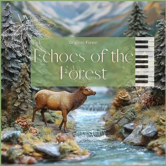 Echoes of the Forest by Organic Forest