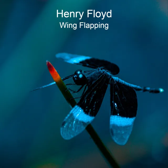 Wing Flapping - Radio Mix