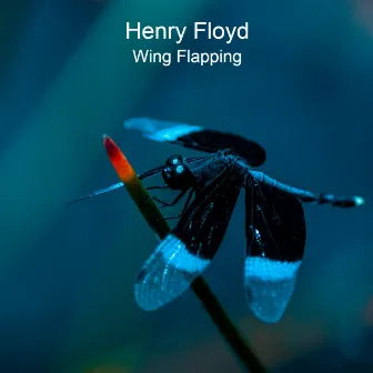 Wing Flapping by Henry Floyd