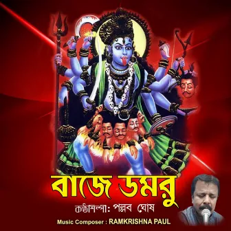 Baje Domru by Pallab Ghosh