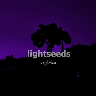 Weightless by Lightseeds