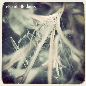 Elizabeth Davis by Elizabeth Davis