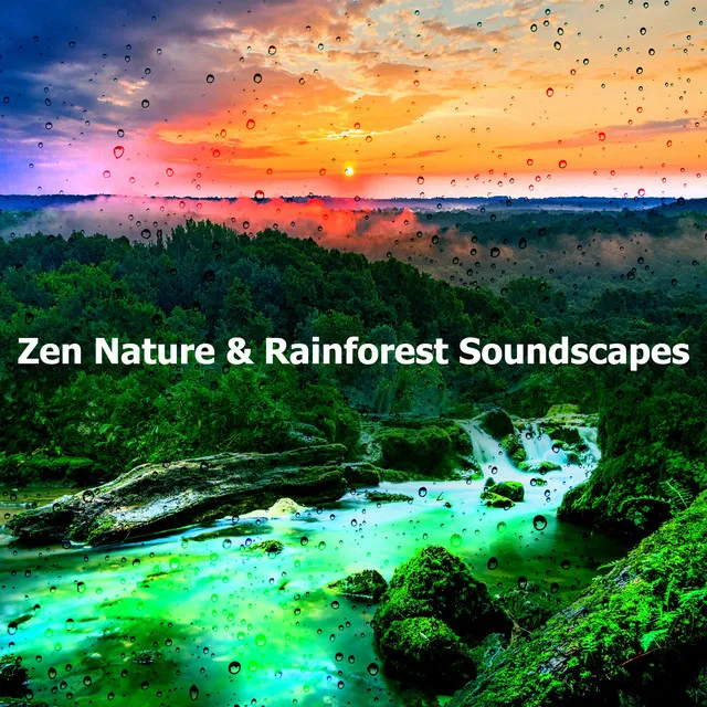 Zen Nature & Rainforest Soundscapes