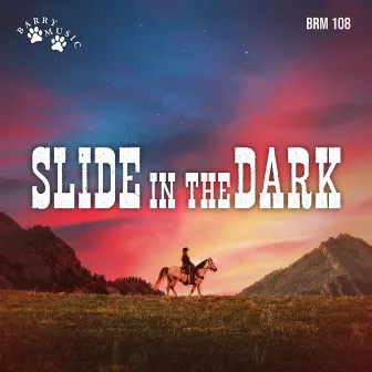 Slide in the Dark by Micki Piperno