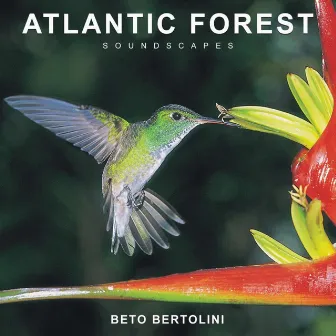 Floresta Atlântica by Beto Bertolini