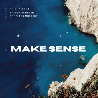 Make Sense by Shirlvin Desir