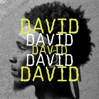 David by Scott Simms