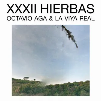 XXXII Hierbas (with Octavio Aga) by La Viya Real