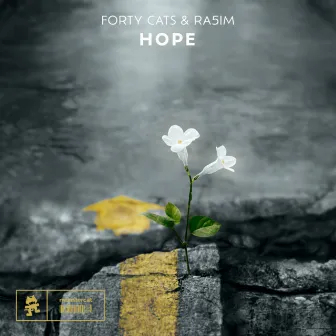 Hope by Forty Cats