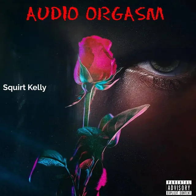 Audio Orgasm