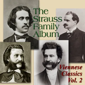 The Strauss Family Album: Viennese Classics, Vol. 2 by Strauss Festival Orchestra