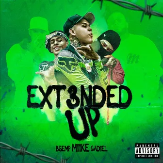 Ext3Nded Up by Miike