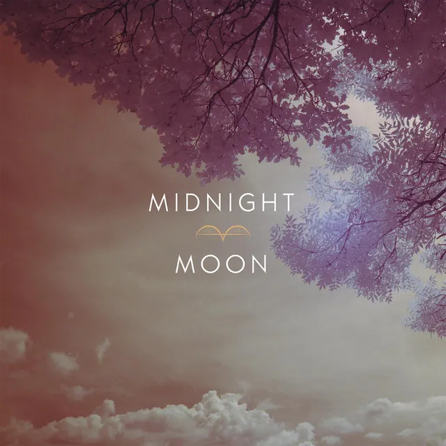 Midnight Moon (feat. Elleodin)