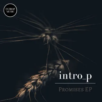 Promises by IntroP