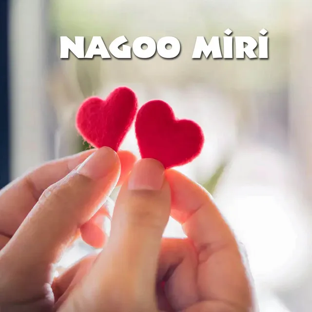 Nagoo Miri - 2012 Edition