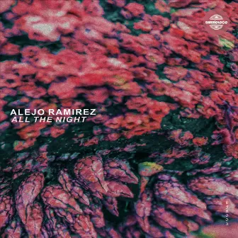 All The Night by Alejo Ramirez