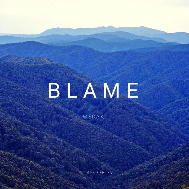 Blame