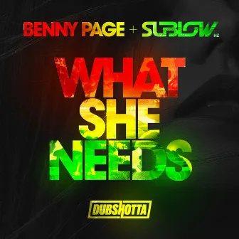 What She Needs by Sublow Hz