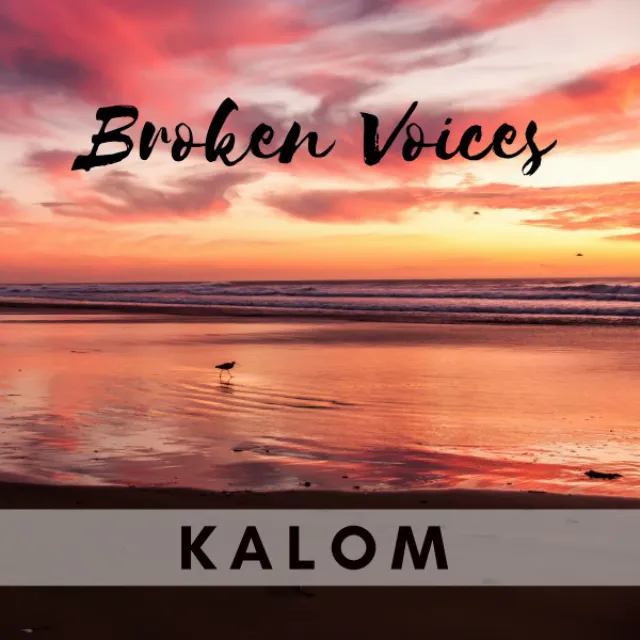 Broken Voices - Instrumental