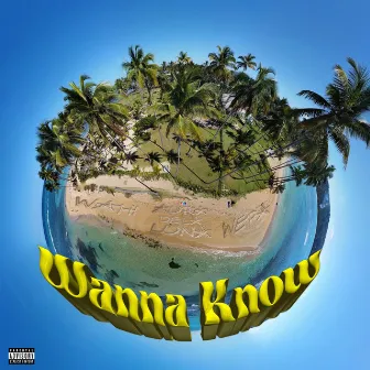 Wanna Know by Young Wepa