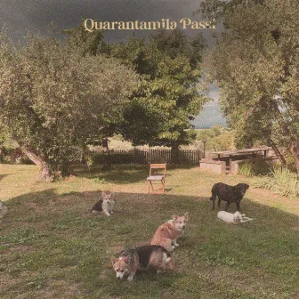 Quarantamila Passi by Moonari