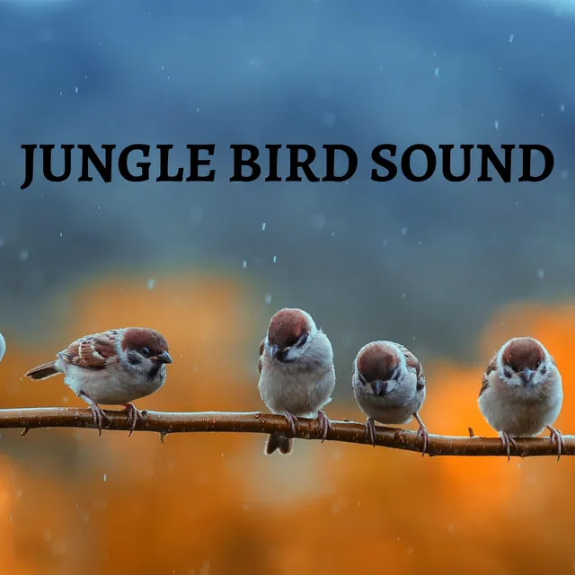 Jungle Bird Sound