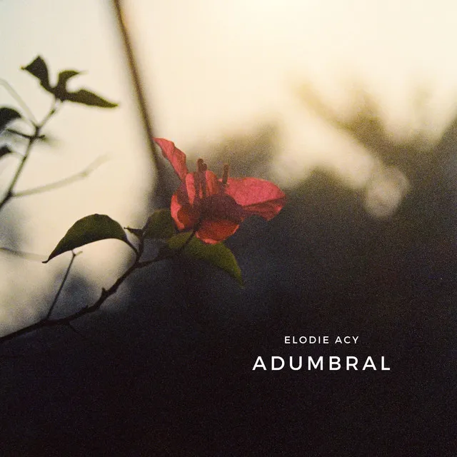 Adumbral