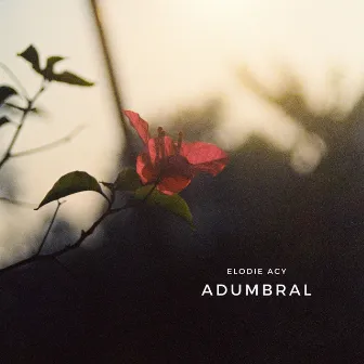 Adumbral by Elodie Acy