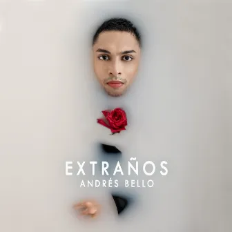 Extraños by Andrés Bello