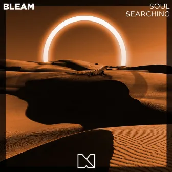 Soul Searching by BLEAM