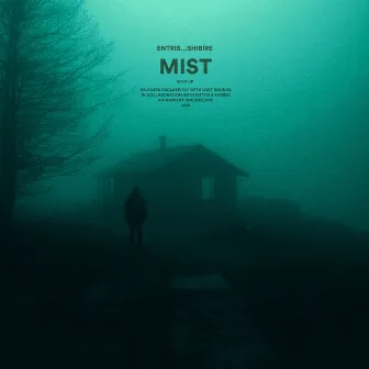 mist (sped up) by shibíre