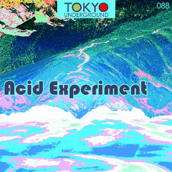 Acid Experiment by 