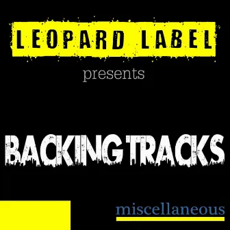 Backing Tracks for Guitar and Instrument Solo by Leopard Powered