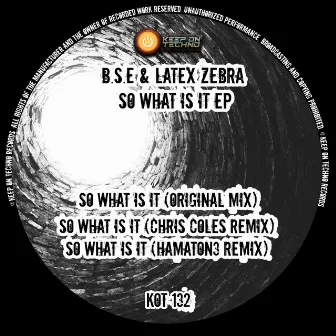 So What Is It by B.S.E