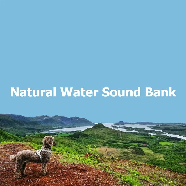 Natural Water Sound Bank