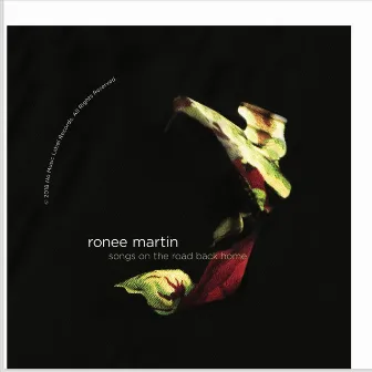 Songs on the Road Back Home by Ronee Martin