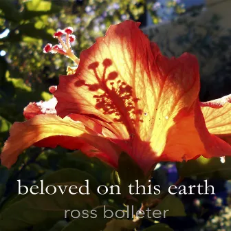 Beloved on This Earth by Ross Bolleter