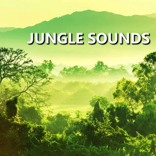 Jungle Sounds