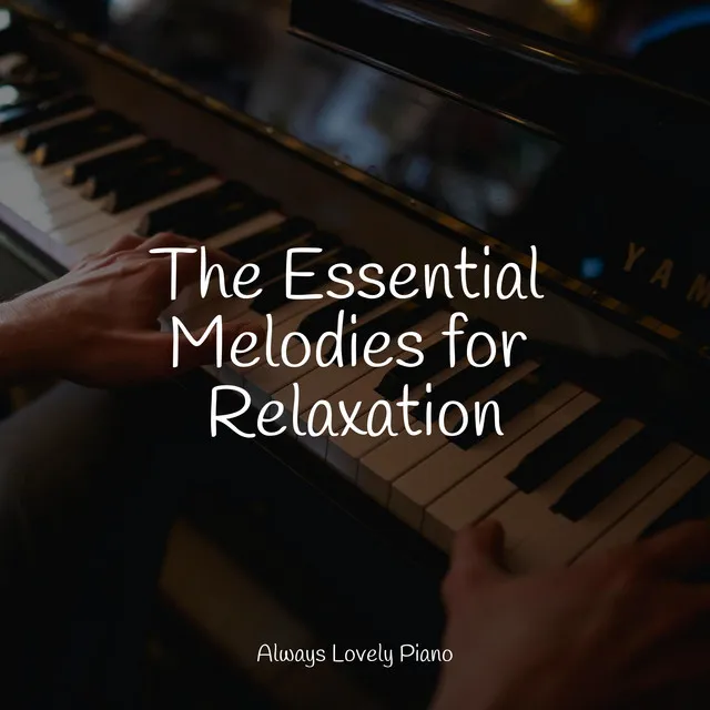 Calming Piano Compilation: 50 Tracks to Soothe the Soul