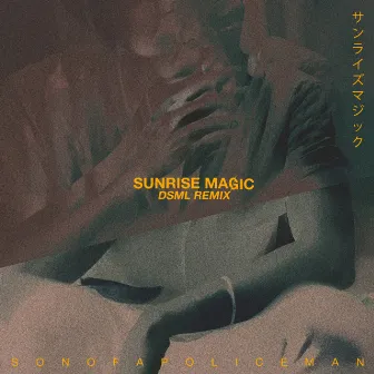 Sunrise Magic (DSML Remix) by Fragile Flamingo